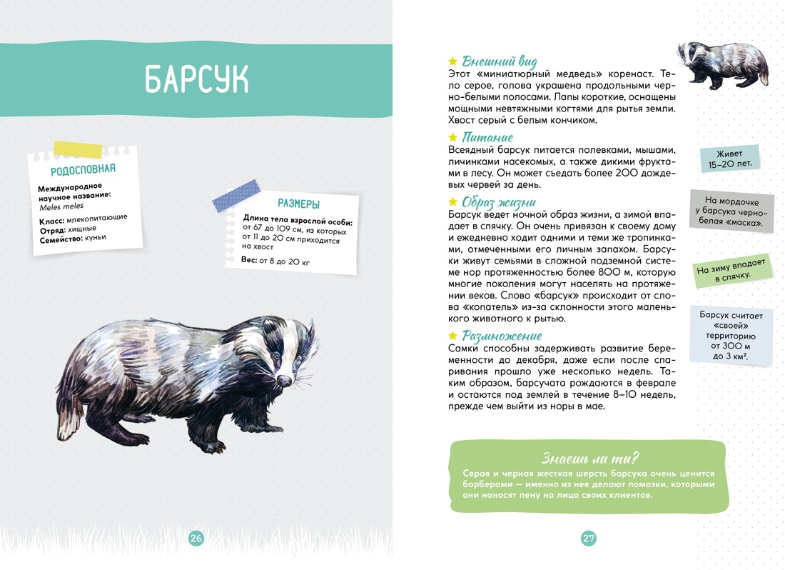 Книга Махаон Весь мир природы для школьника Комплект из 2 х книг - фото 6