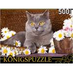 Пазл Рыжий кот классический