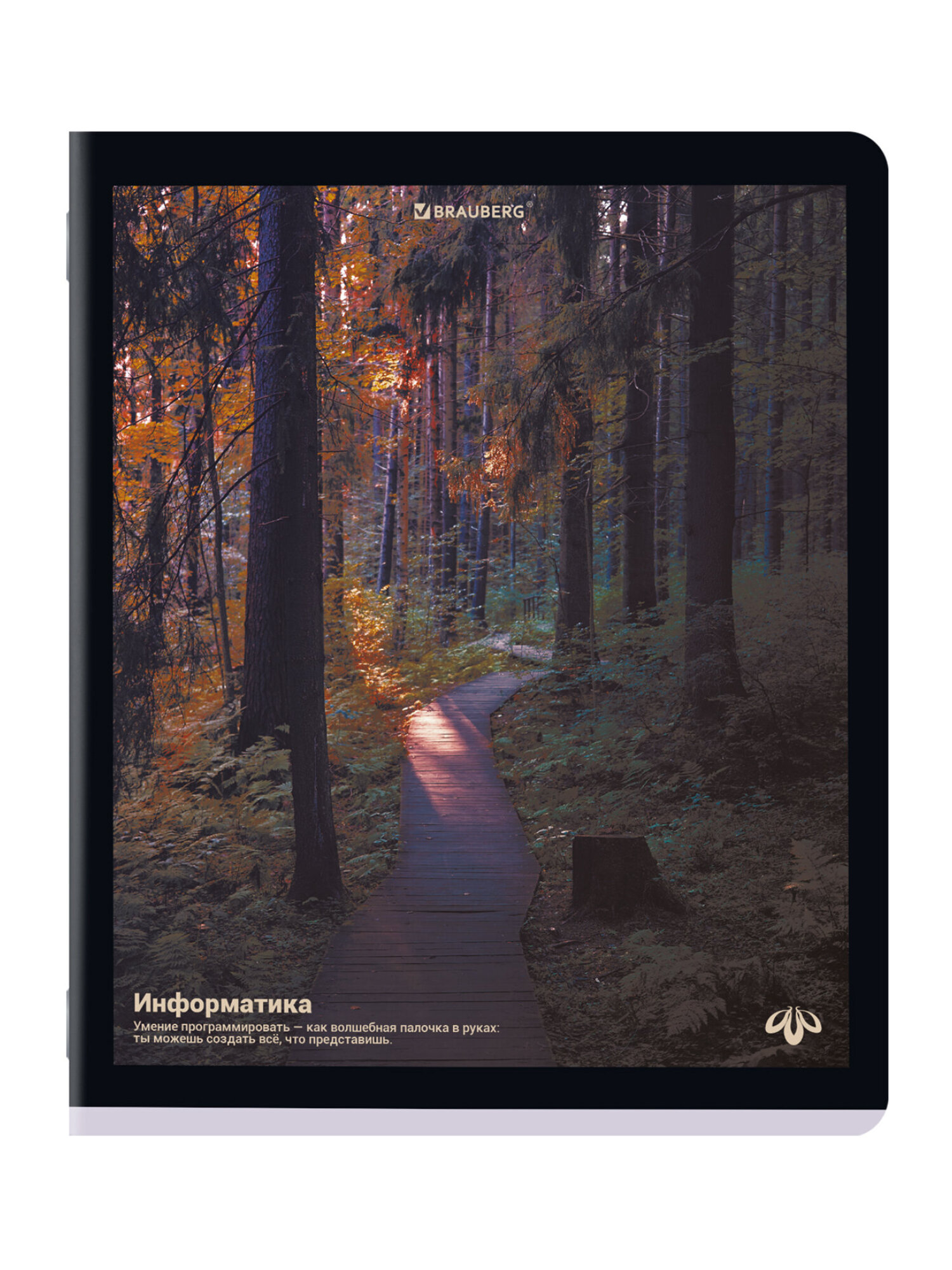 Тетрадь Brauberg 48 лист. 12 шт. - фото 12