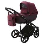 Коляска 2в1 Adamex Amelia TIP