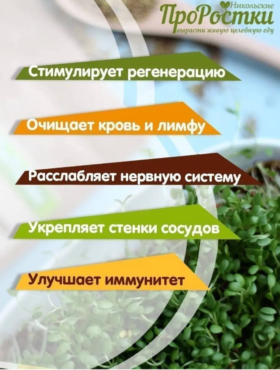 Семена для микрозелени MegaMedia клевер - фото 4