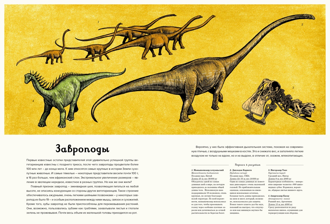 Книга Махаон Динозавриум - фото 6