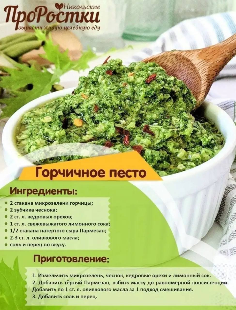 Семена для микрозелени MegaMedia горчица - фото 4