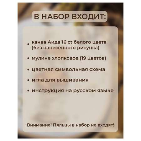 Набор для творчества ANDRIANA вышивание