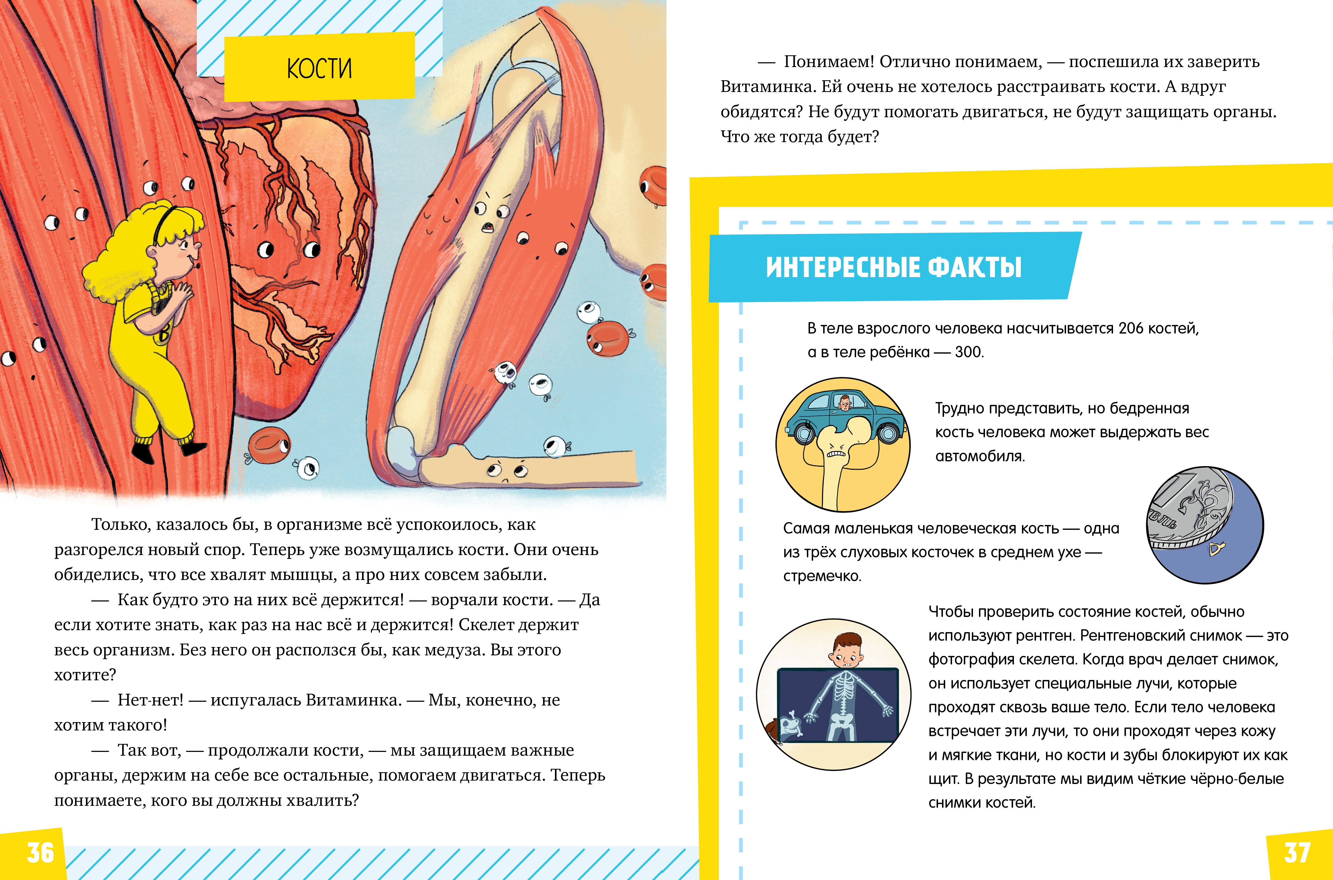 Подарок для почемучки Clever Тело человека - фото 5