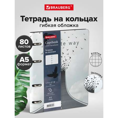 Общая тетрадь Brauberg клетка 80 лист.