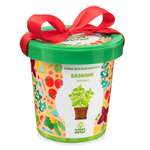 Набор для выращивания Happy Plant