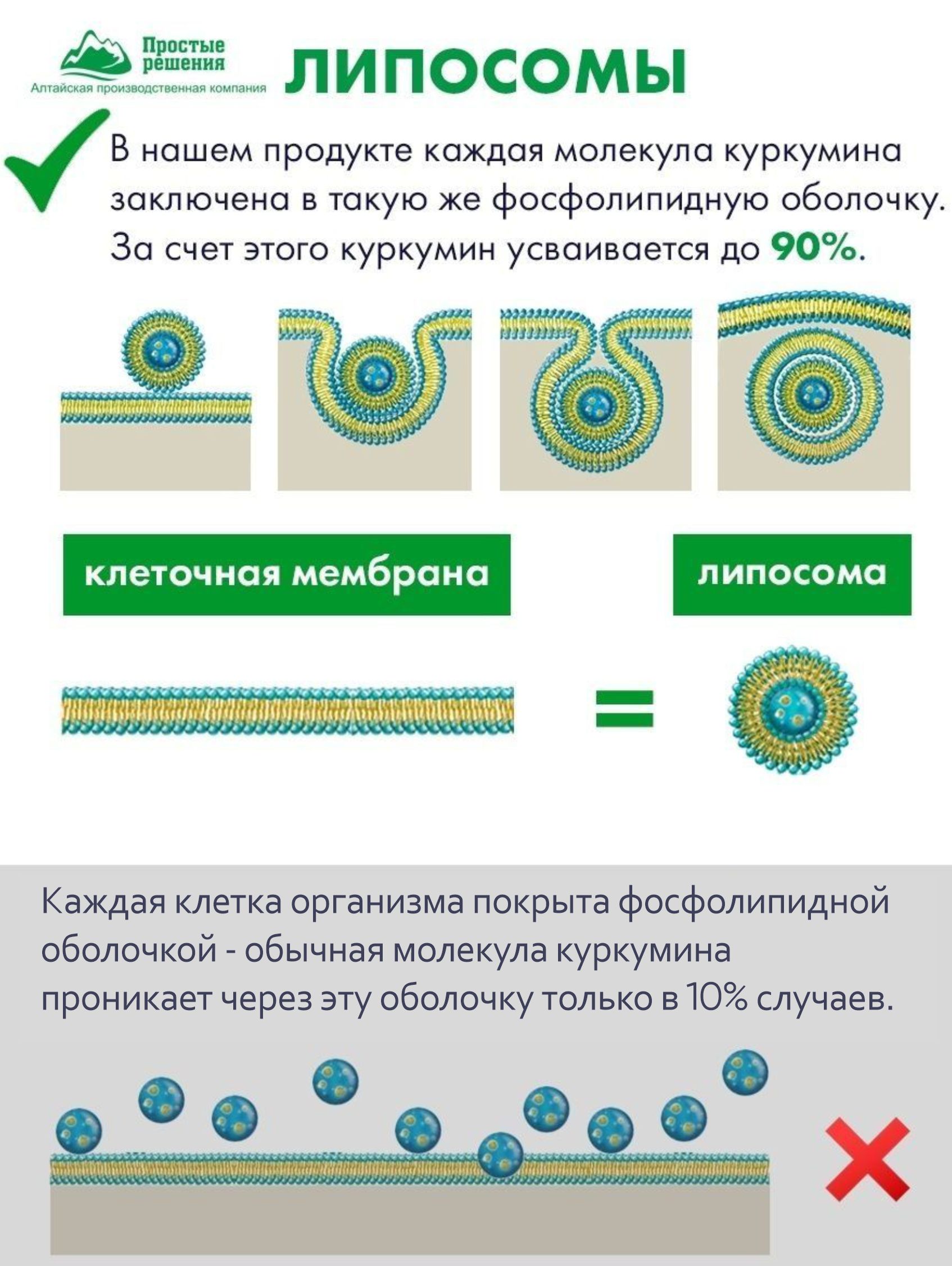 Концентрат Алтайские традиции Липосомальный куркумин Диабетин - фото 3
