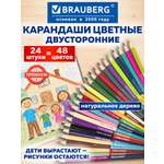 Карандаши цветные Brauberg 24 шт.