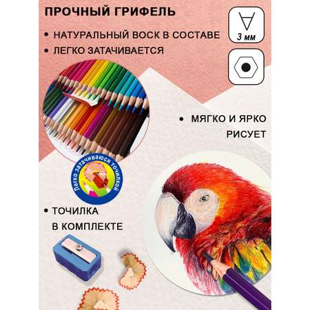 Карандаши цветные ACMELIAE 49 шт.