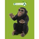 Фигурка Collecta Детёныш шимпанзе