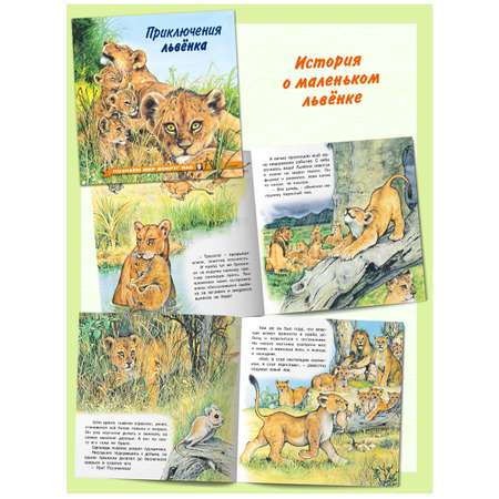 Комплект книг Фламинго Сказки для детей Рассказы о животных Приключения Бельчонка Слоненка Медвежонка Львенка