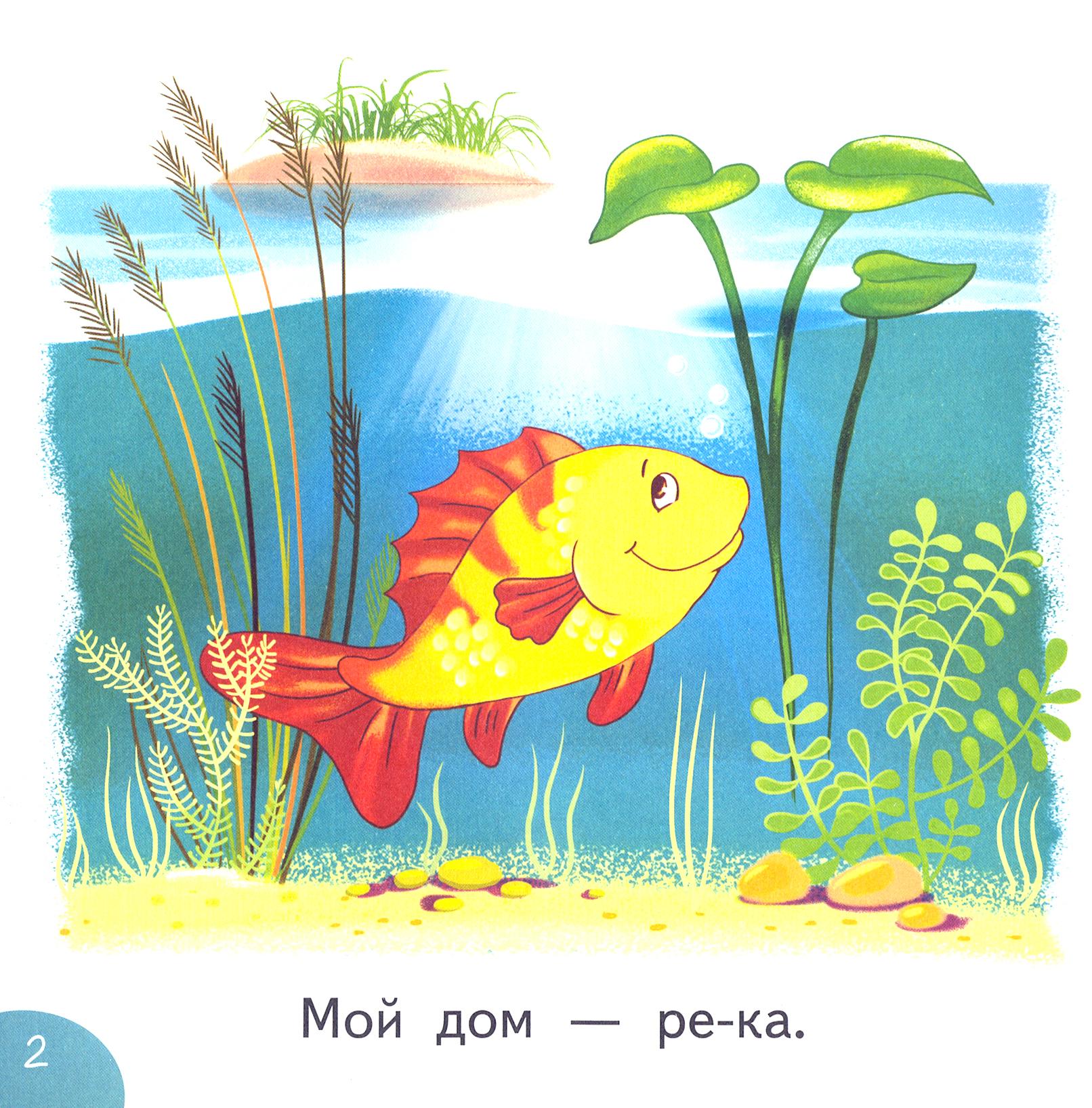 Книга Качели Мой дом - фото 7