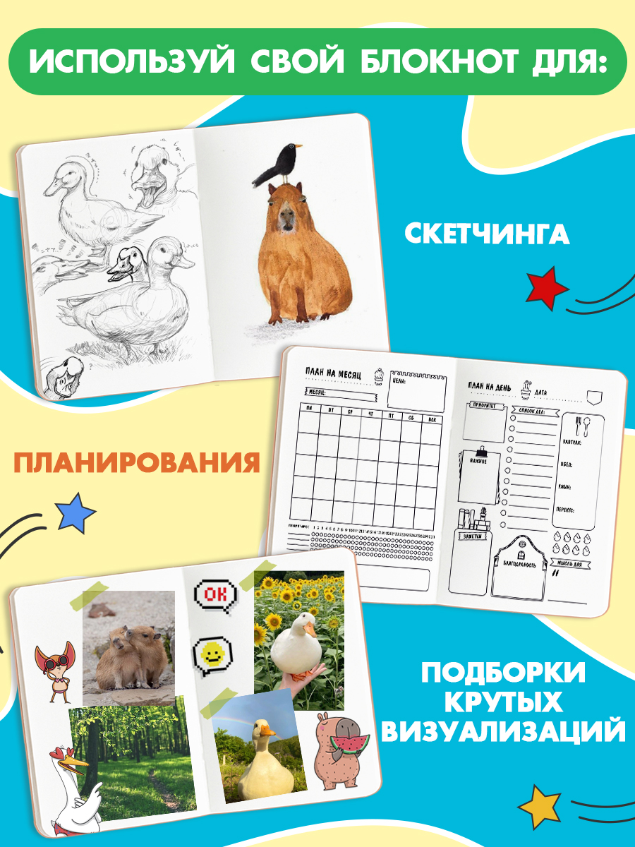 Скетчбук Проф-Пресс блокнот на резинке. Гусь А5 80 лист. 1 шт. - фото 3