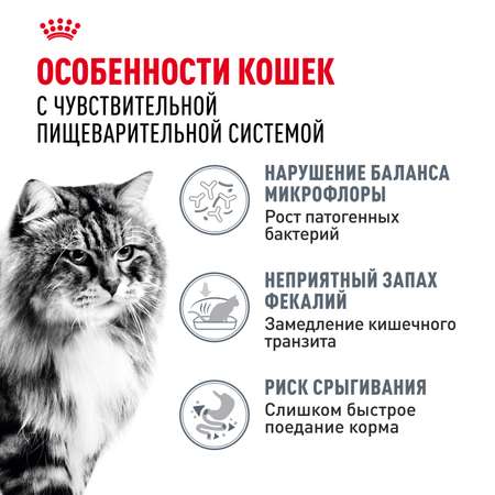 Корм сухой для кошек ROYAL CANIN 10кг Digestive care для поддержания здоровья пищеварительной системы