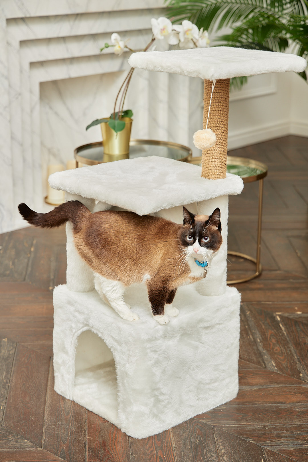 Домик для кошки с когтеточкой Pet БМФ Белый - фото 1