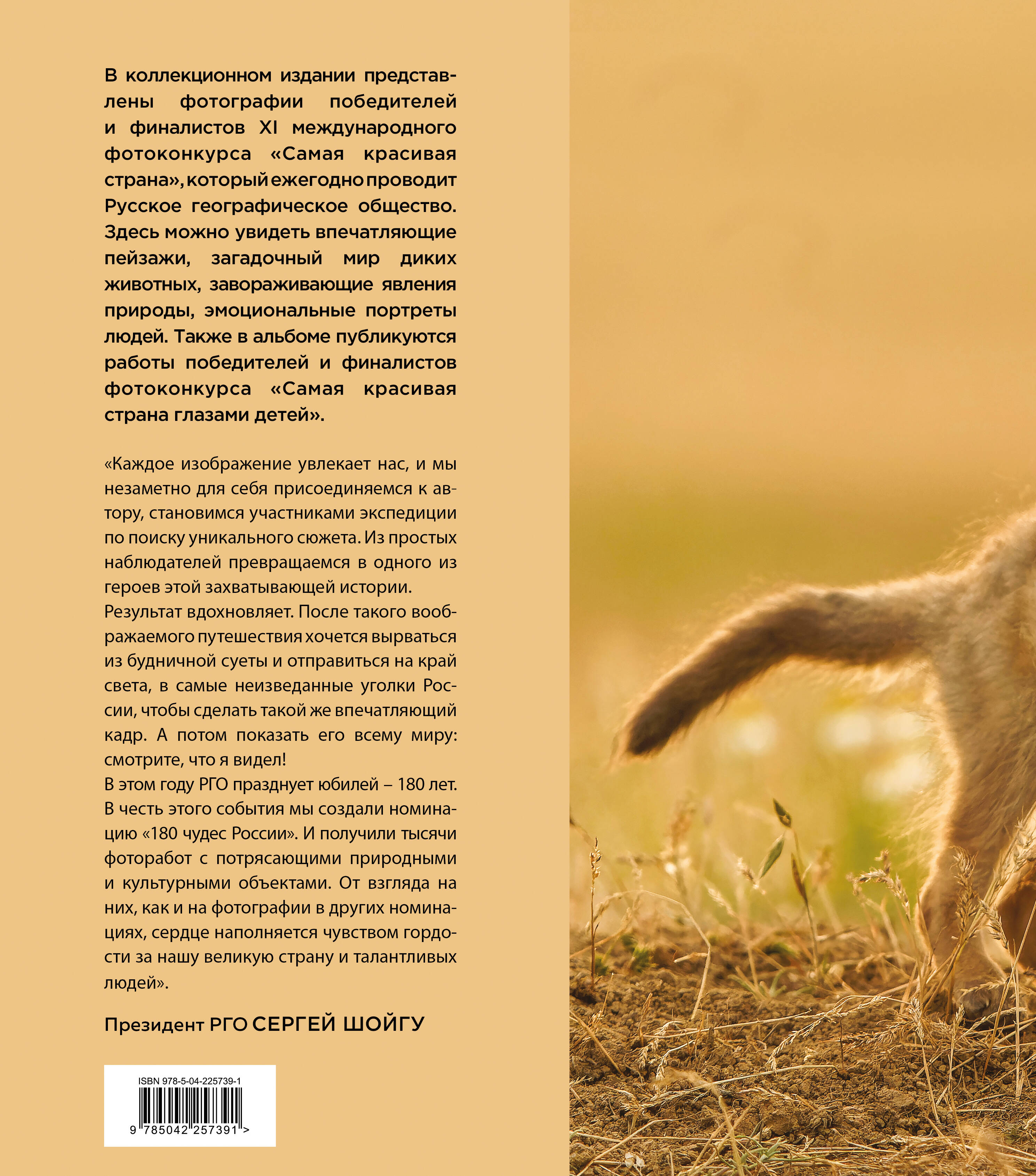Книга БОМБОРА Россия самая красивая страна. Фотоконкурс 2025 - фото 11