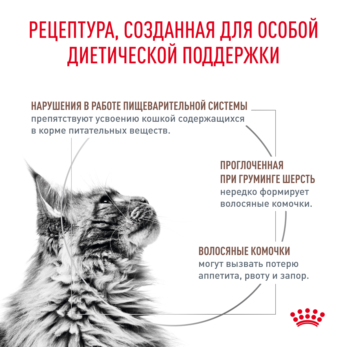 Корм для кошек ROYAL CANIN Gastro Intestinal Hairball Control лечение ЖКТ 2кг - фото 2