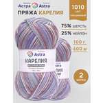 Пряжа для вязания носочная Astra Premium 100г 400м 2шт