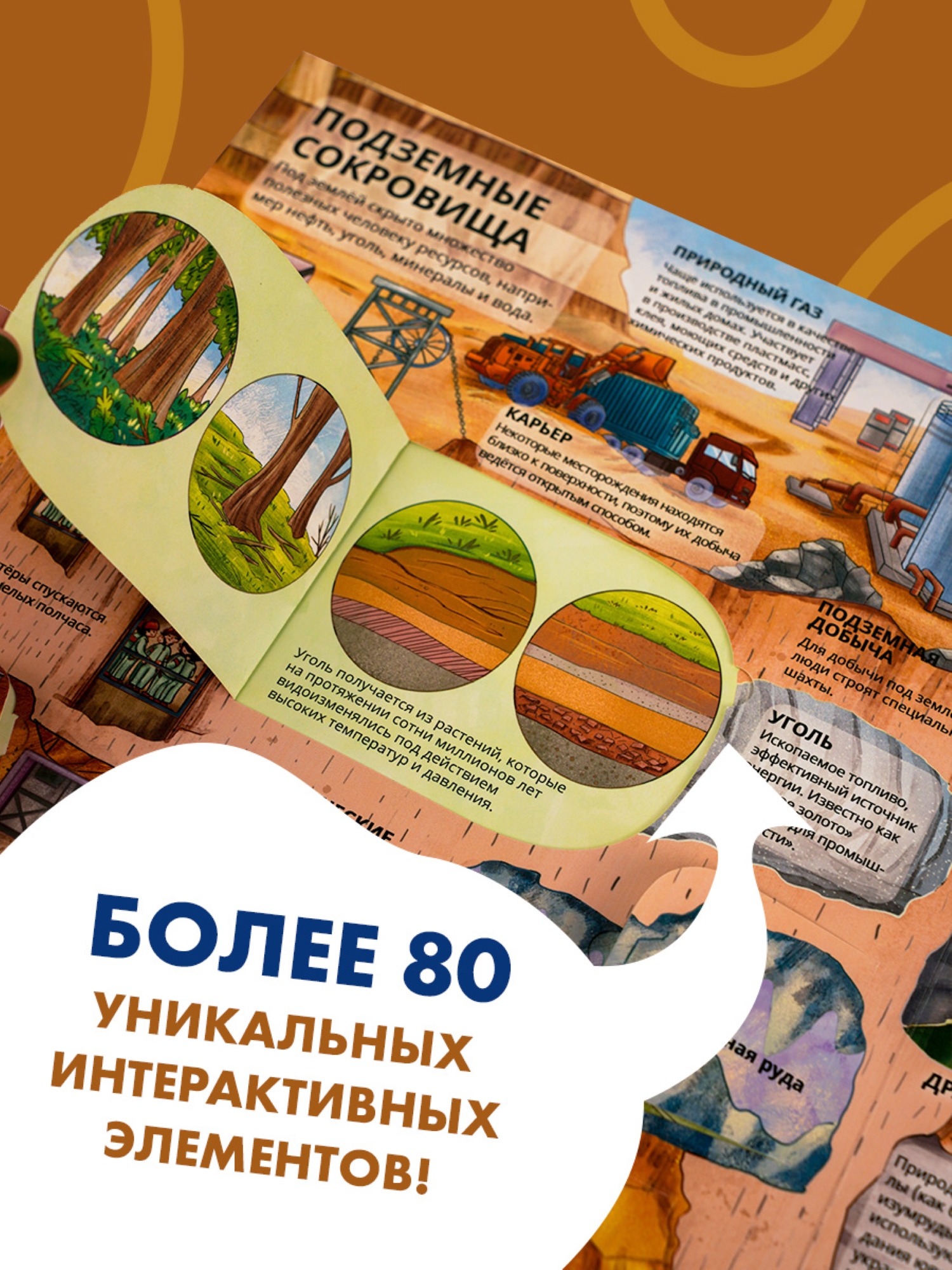 Книга АСТ На земле и под землёй - фото 3