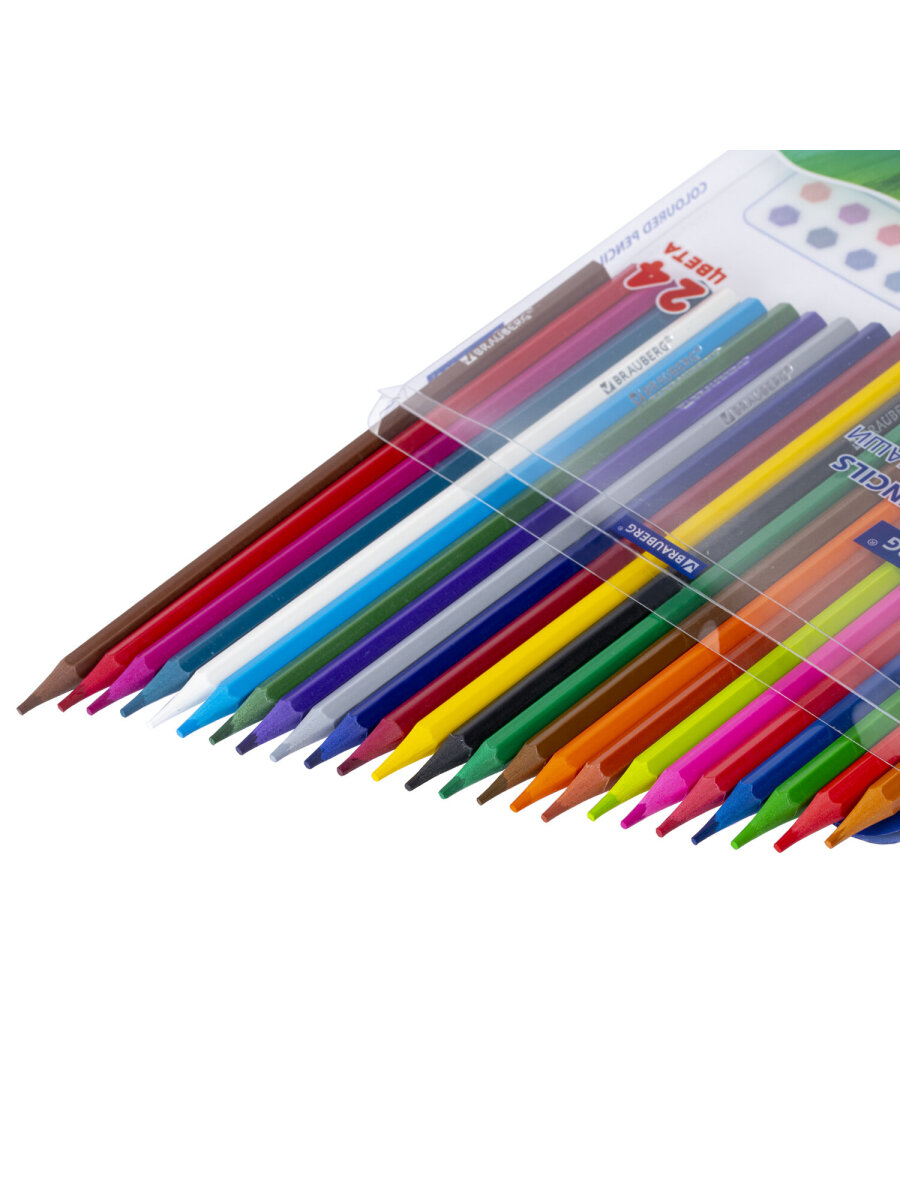 Карандаши цветные Brauberg 24 шт. - фото 6