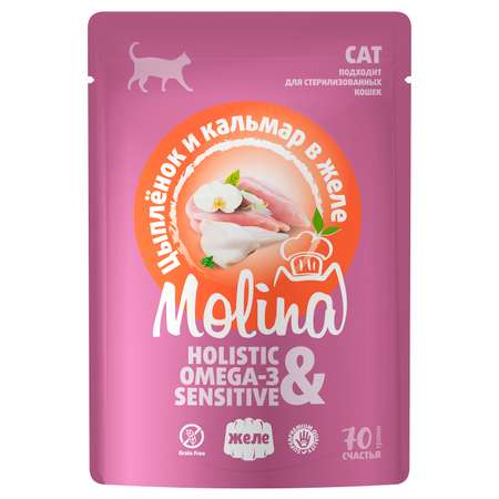 Корм для кошек Molina цыпленок и кальмар в желе пауч 70г