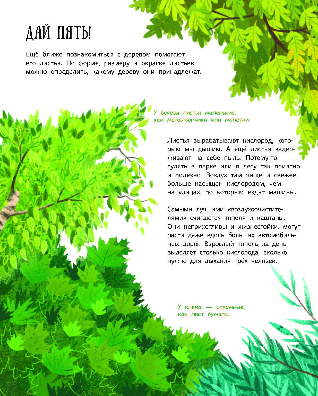 Книга Абраказябра Как зовут твоё дерево - фото 9
