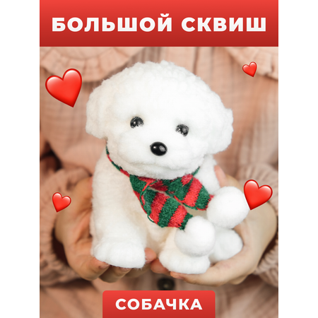 Сквиш DinRen