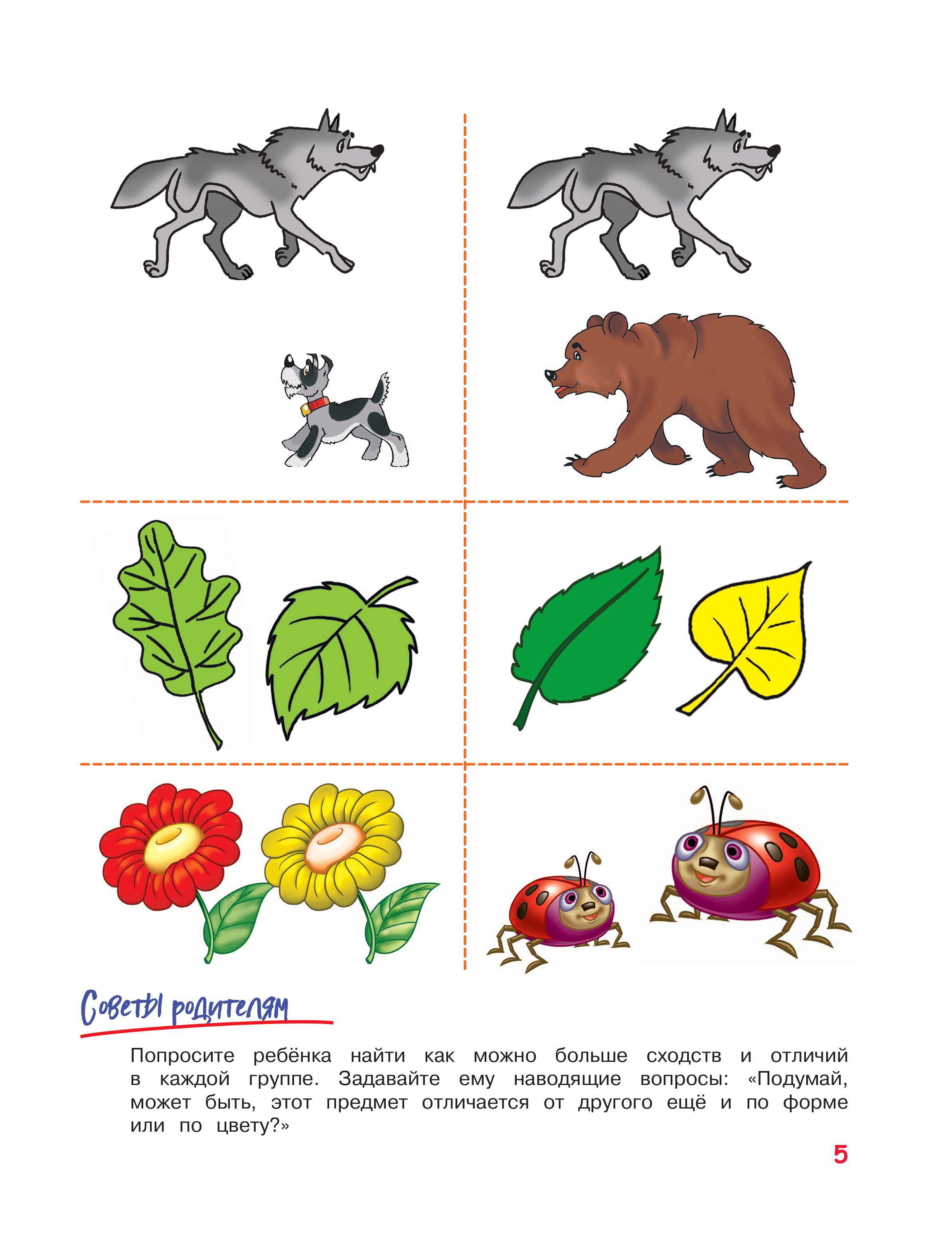 Книга Эксмо Развиваем логику и речь: для детей 4-6 лет - фото 8