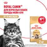 Корм сухой для кошек ROYAL CANIN Maine Coon 2кг породы мейн-кун