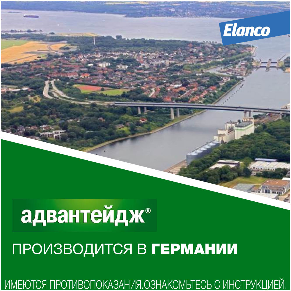 Препарат инсектоакарицидный для кошек Elanco Адвантейдж 0.4мл 4пипетки - фото 10