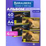 Альбом Brauberg А4 40 лист. 4 шт.