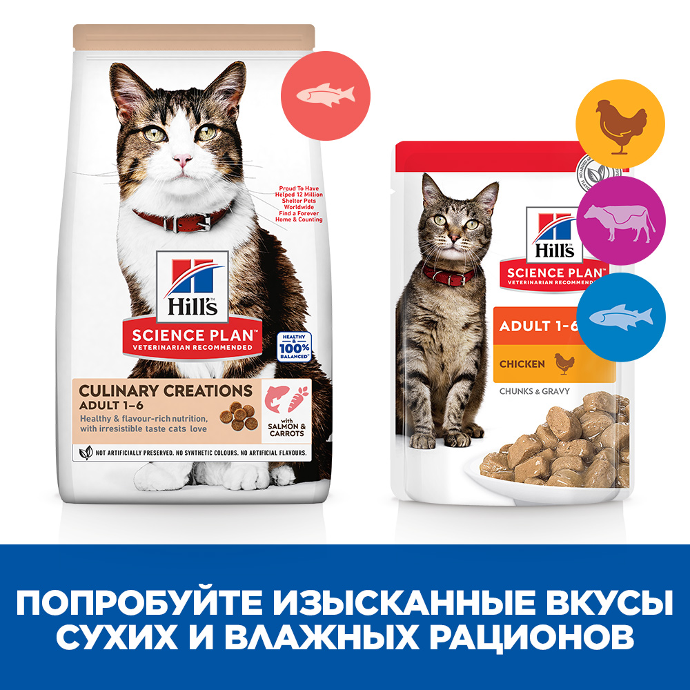 Корм для кошек Hills 10кг Science Plan Culinary Creations для поддержания жизненной энергии и иммунитета с лососем и морковью - фото 6