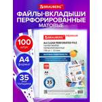 Файл Brauberg набор 100 штук матовые А4