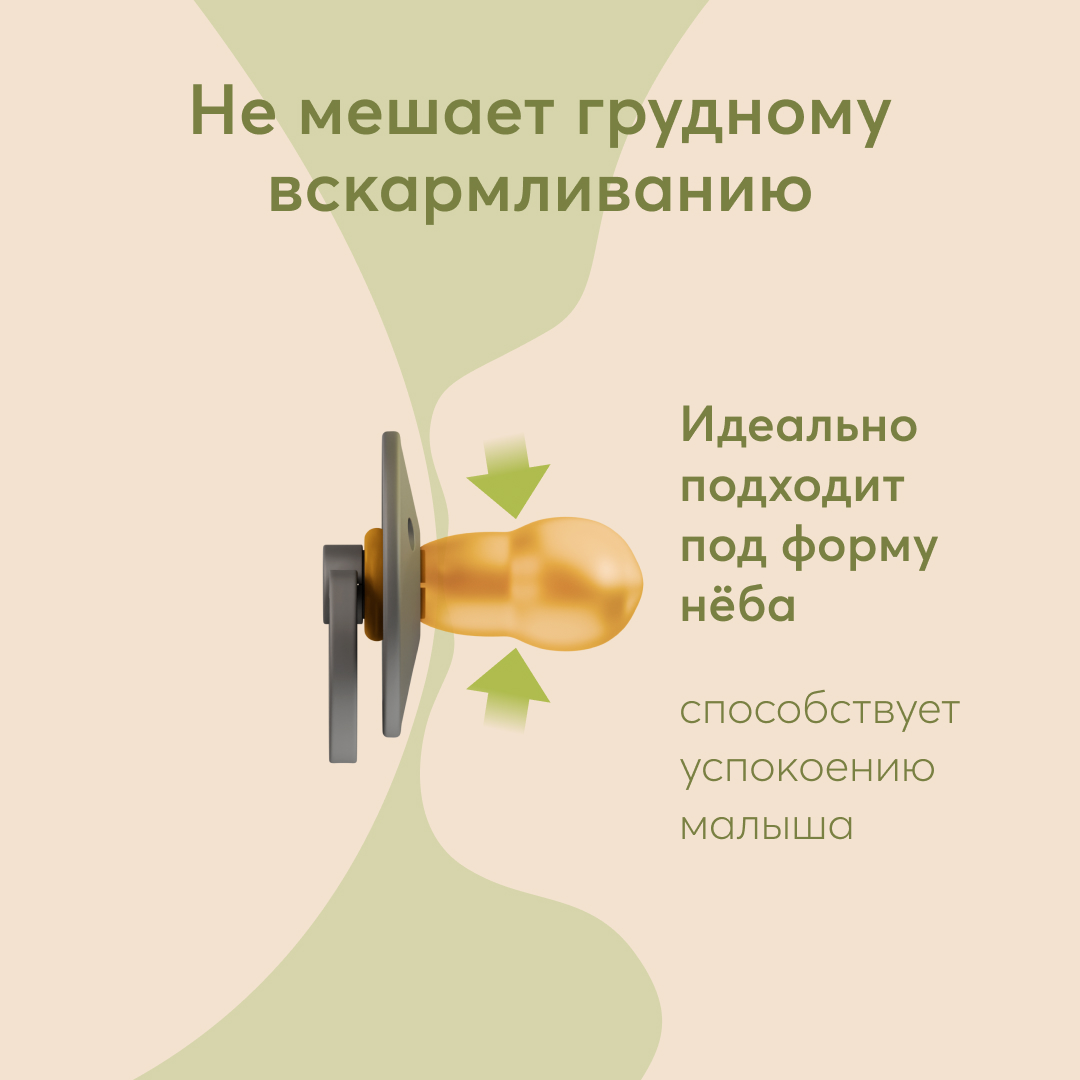 Пустышка Happy Baby латекс от 18 мес. - фото 3