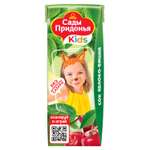 Сок Сады Придонья Яблоко-вишня с 5 мес 0.2 л