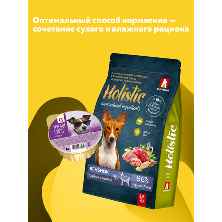 Корм влажный Зоогурман Мясное суфле с печенью 100 гр х 20 шт