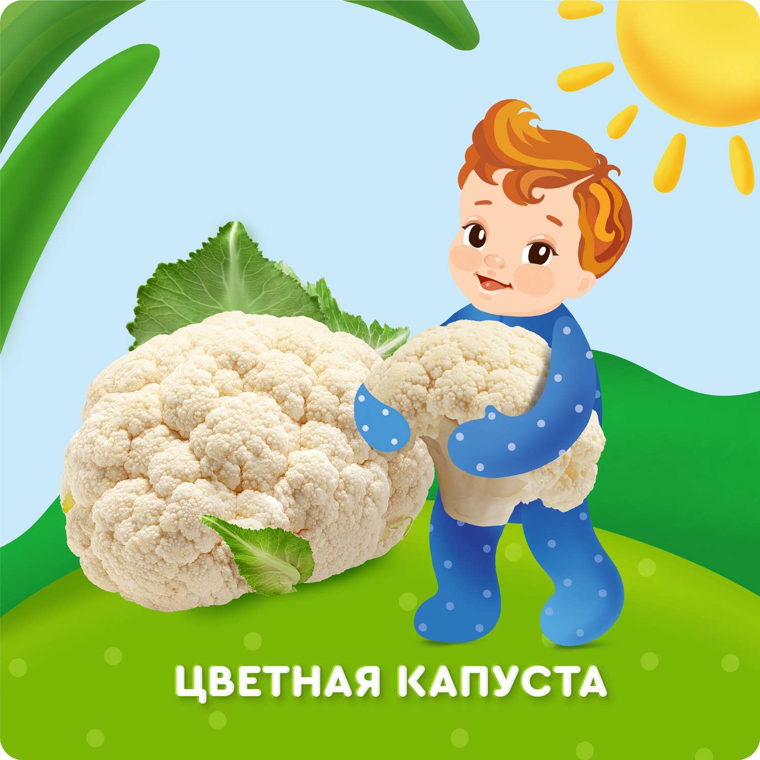 Пюре Агуша Цветная капуста с 4 мес 80 г - фото 2