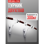 Спортивный турник БлинДаГриф 2 хвата