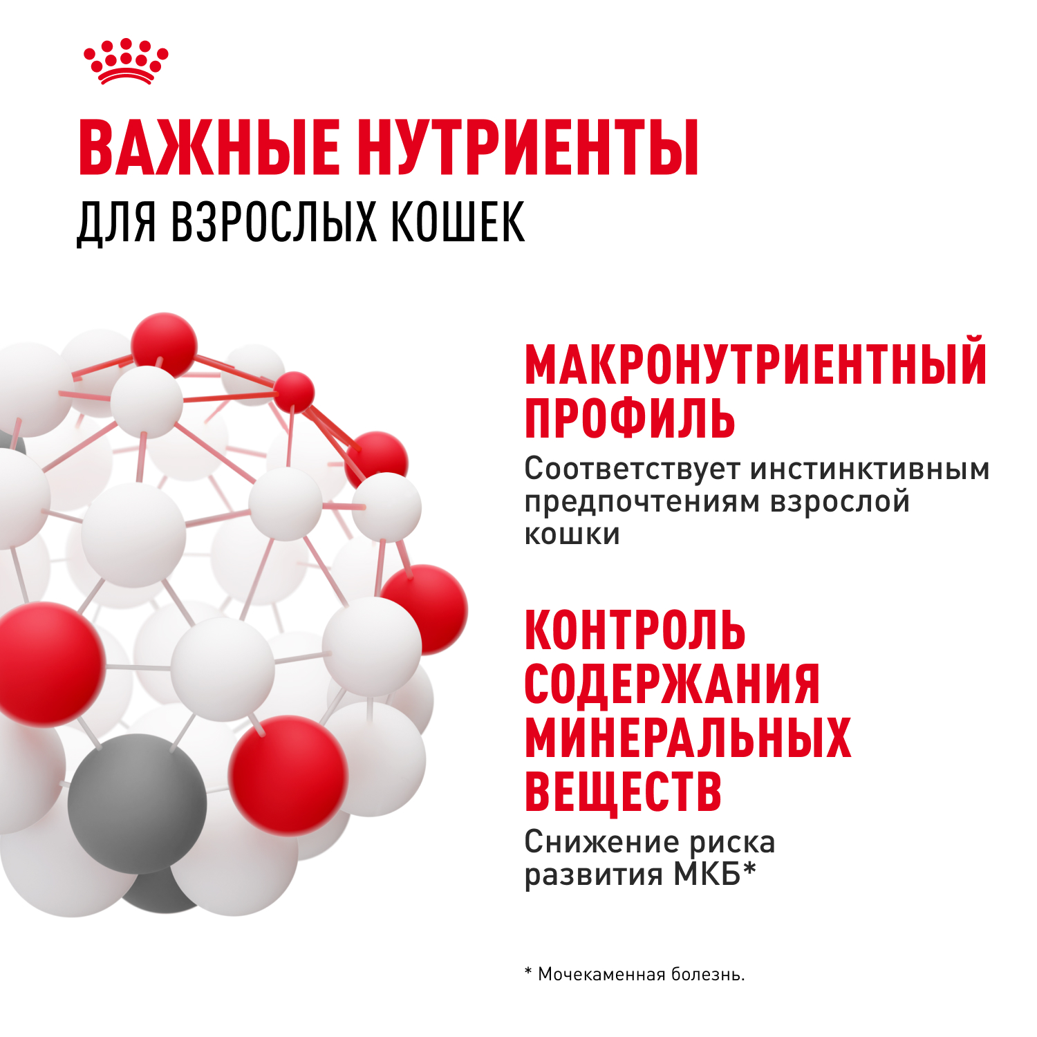 Корм влажный для кошек ROYAL CANIN Instinctive 85г желе пауч 77848 - фото 5