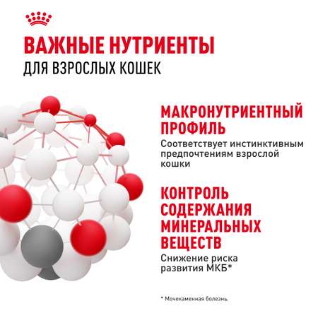 Корм влажный для кошек ROYAL CANIN Instinctive 85г желе пауч 77848