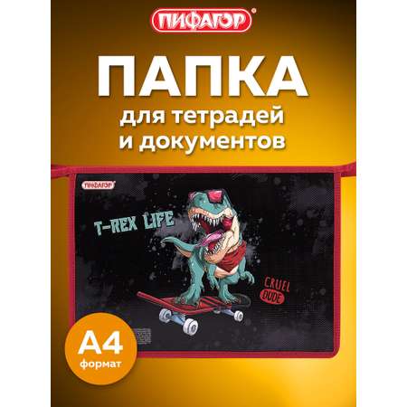 Папка для тетрадей Пифагор жизнь тирекса А4