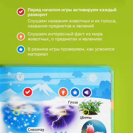 Комплект говорящих книжек BertToys Нажималки: Животные + Я и Мир Вокруг