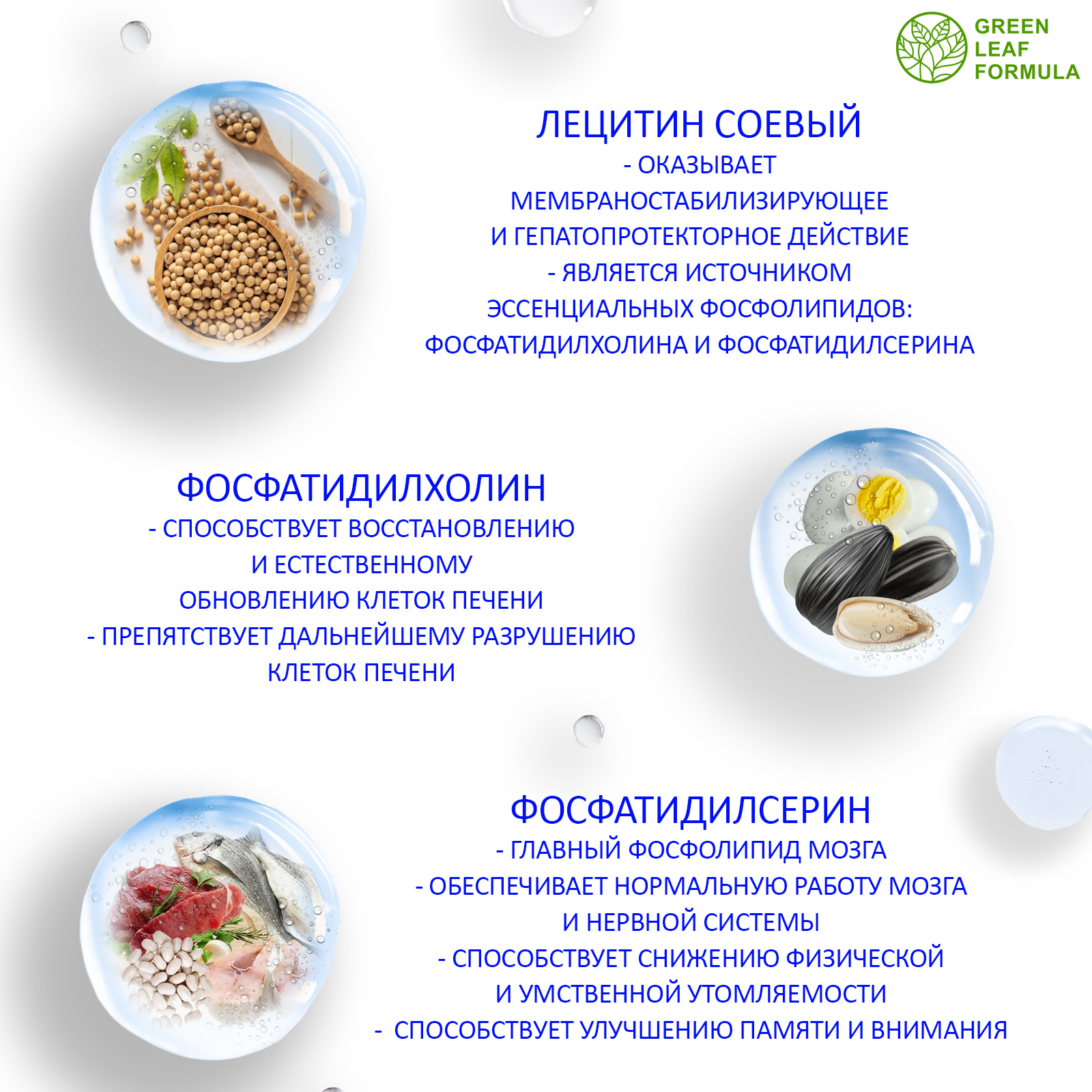 Лецитин соевый Green Leaf Formula витамины для мозга для нервной системы для печени для спорта фосфолипиды - фото 4