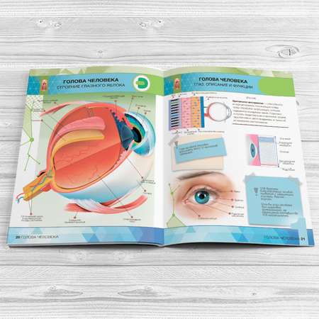Книга DEVAR 4D Энциклопедия в мягкой обложке. Анатомия: органы человека