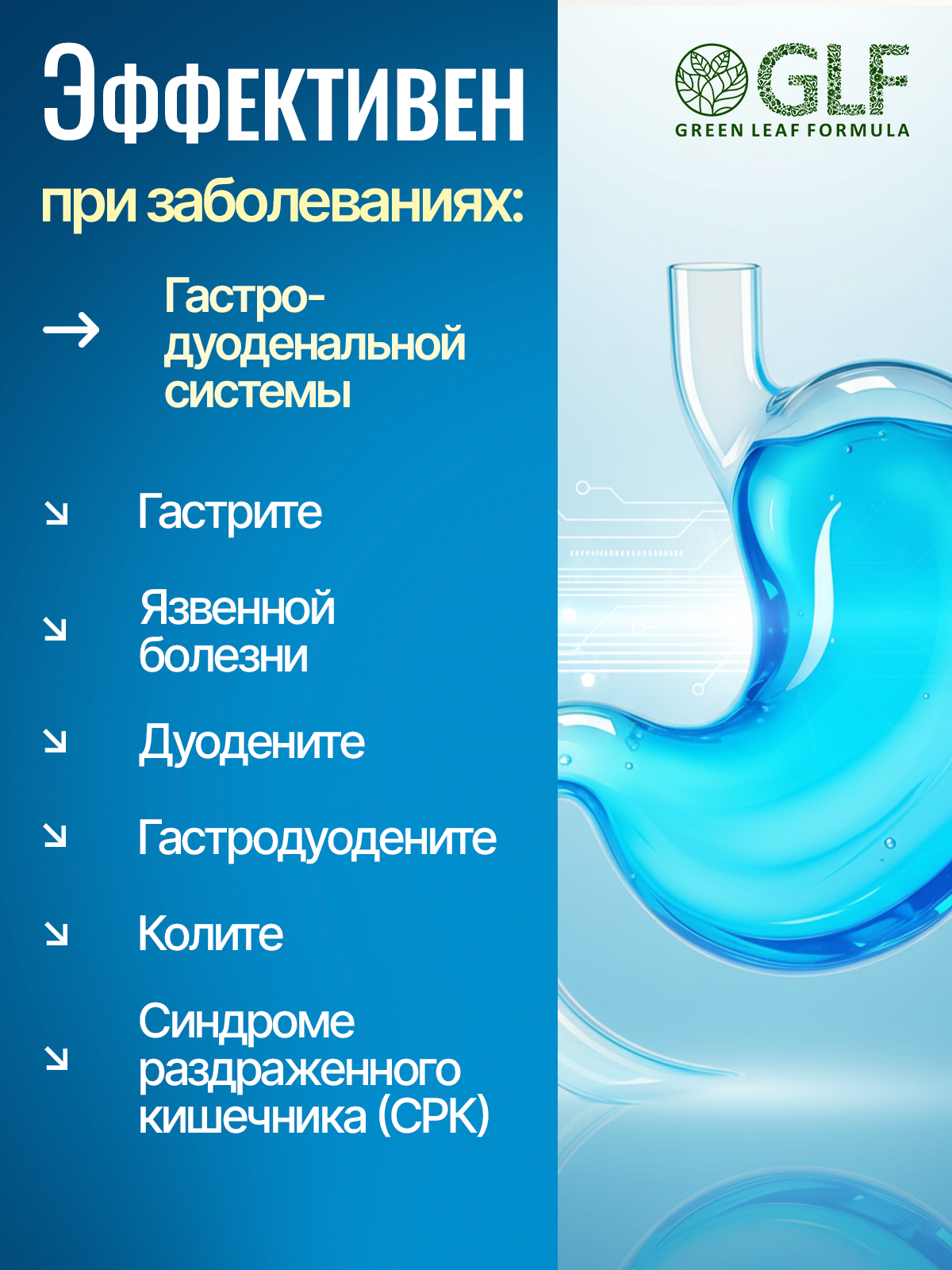 Метабиотик для восстановления микрофлоры Green Leaf Formula гастро для желудка кишечника пищеварения - фото 4