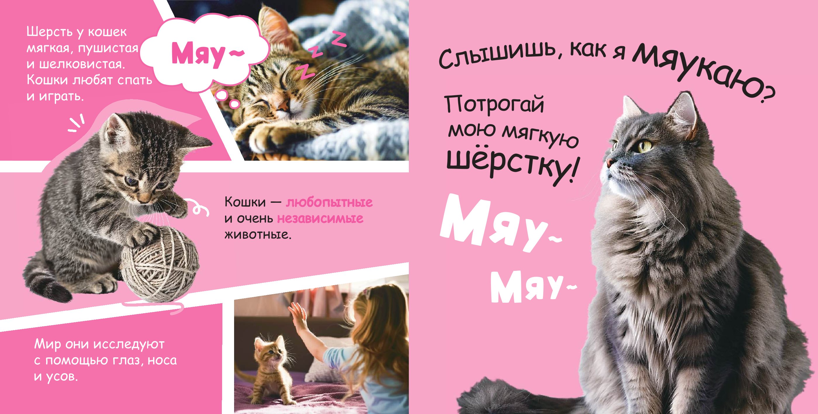 Книга АСТ Трогательные книжки со звуками Домашние питомцы - фото 4