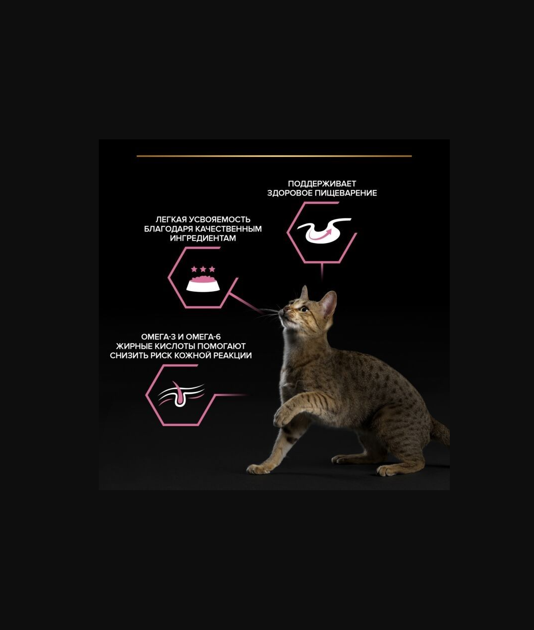 Влажный корм PRO PLAN NutriSavour Delicate 85 - фото 7