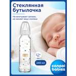 Бутылочка Canpol Babies 240 мл