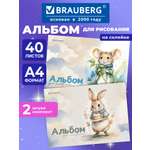 Альбом Brauberg А4 40 лист. 2 шт.